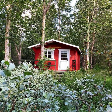 Appartement Bakkakot 3 Cozy Cabin In The Woods à Akureyri Extérieur photo