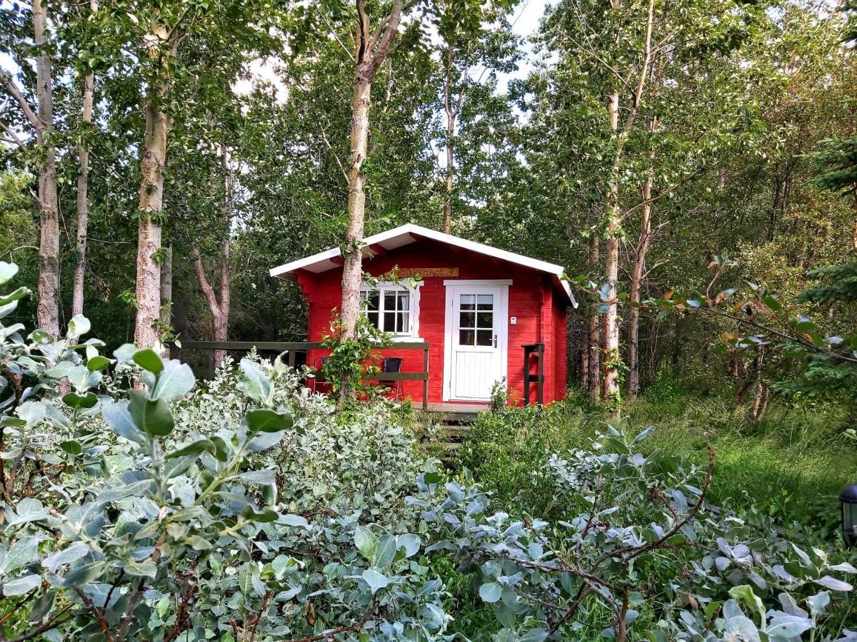 Appartement Bakkakot 3 Cozy Cabin In The Woods à Akureyri Extérieur photo