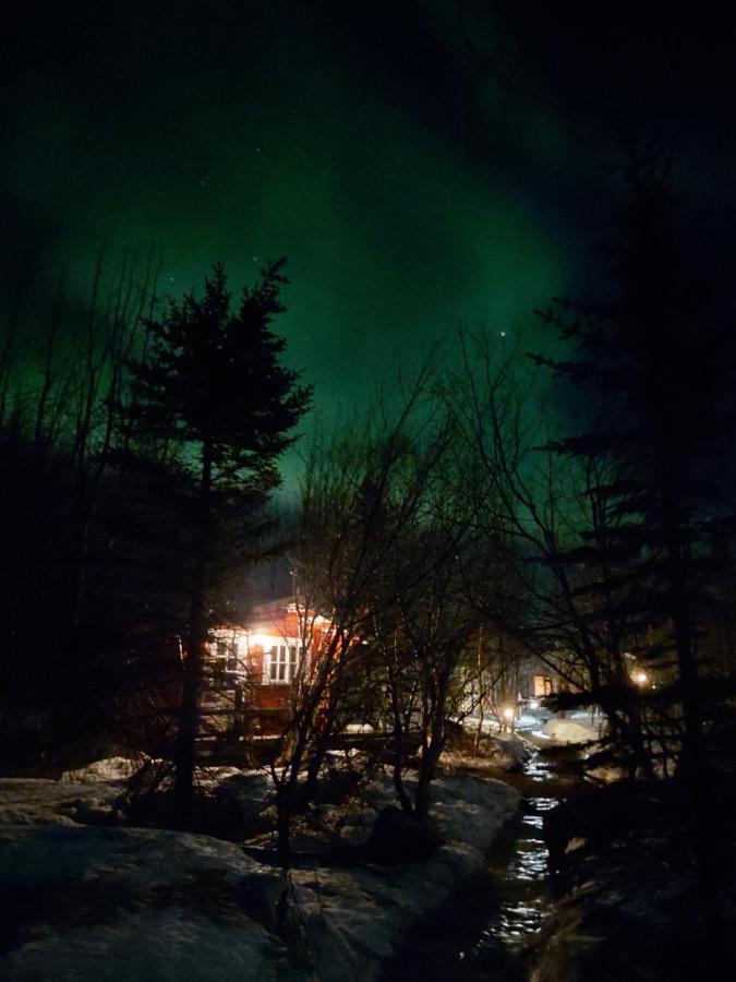 Appartement Bakkakot 3 Cozy Cabin In The Woods à Akureyri Extérieur photo